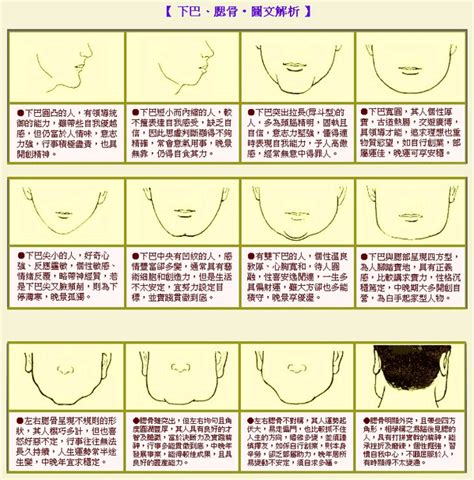 厚道下巴面相|面相大全——下巴